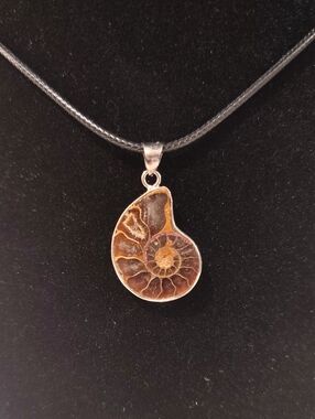 Ammonite Fossil Pendant Necklace